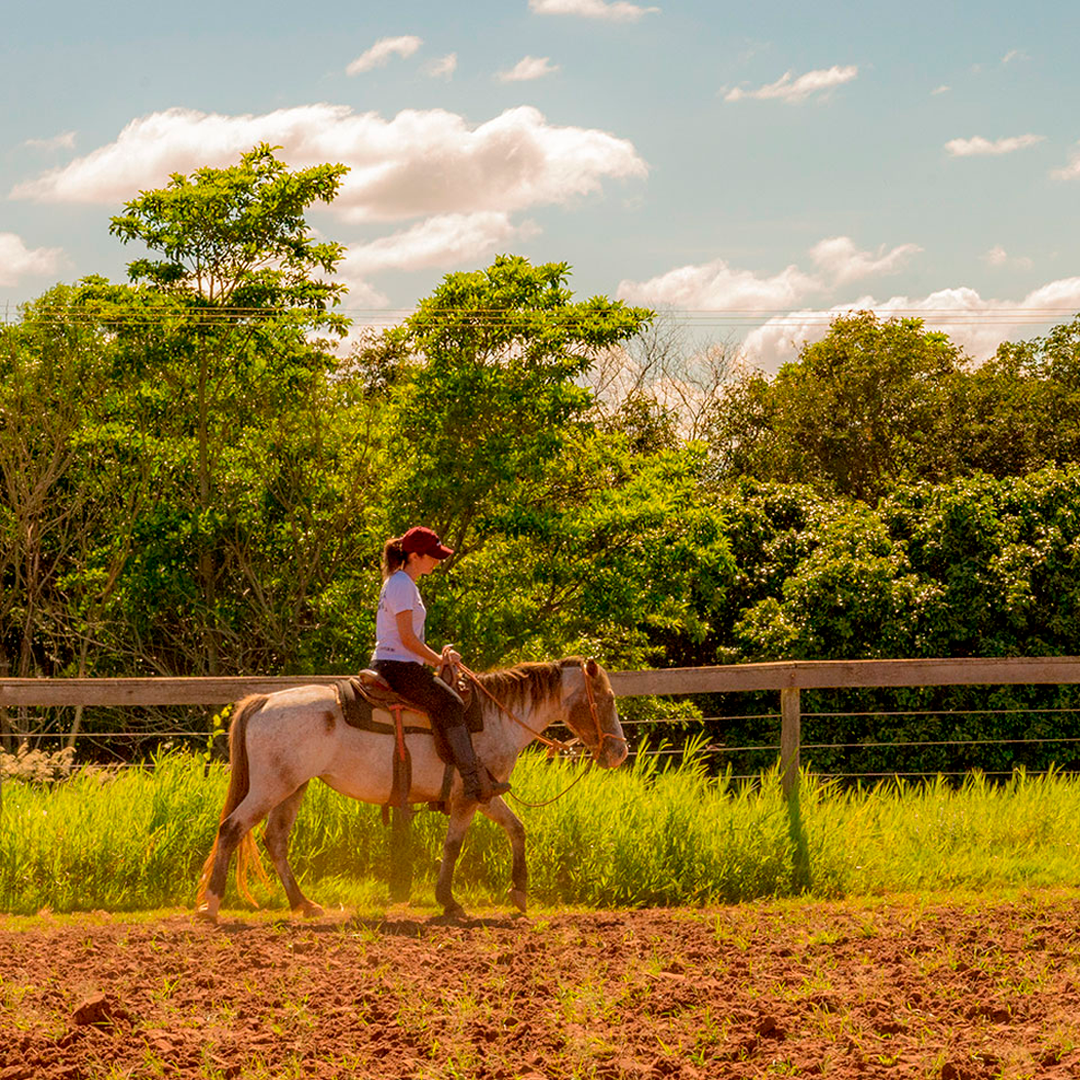 Passeio a cavalo na área do Hotel Fazenda Salto Bandeirantes